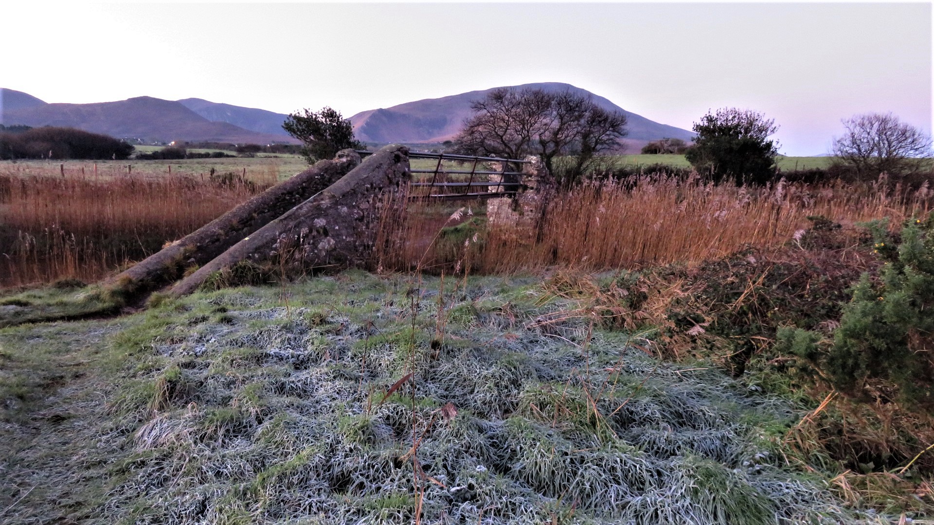 Frost-5045, Dingle Peninsula, Co. Kerry, Ireland.jpg