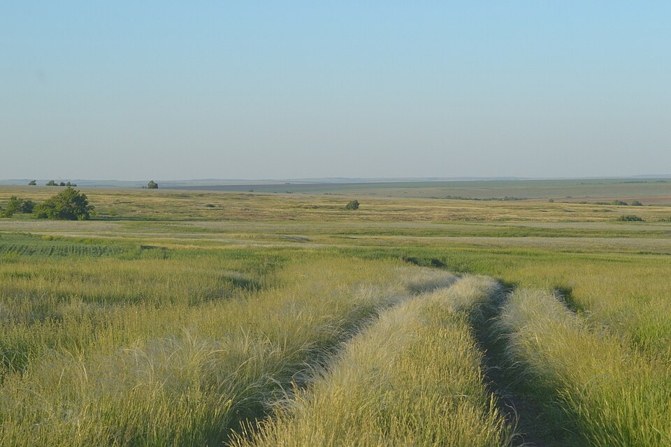 Steppe landscape in Kurmanayevsky District, Orenburg Oblast.jpg