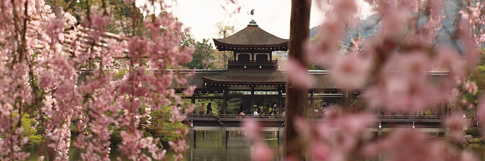 Kyoto banner cherry blossoms 4.jpg