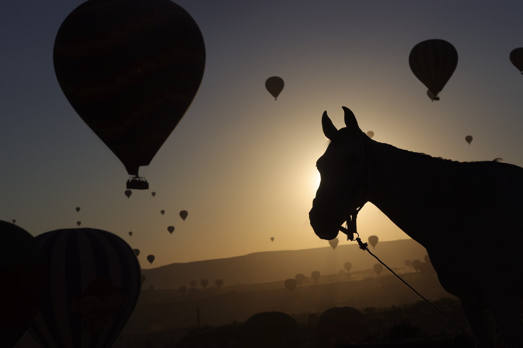 Balloons Cappadocia Toni Salabasev.jpg