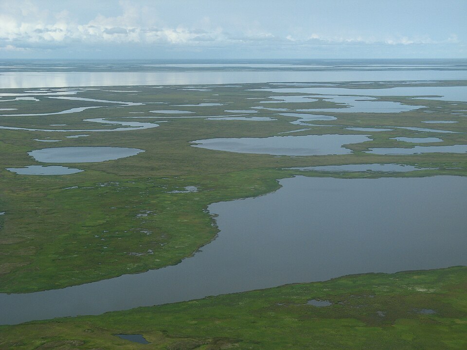 Alaska -tundra landscape-11Aug2008.jpg